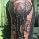 Tatuaje-realista-elefante-Hamahiru-13-Ink-Tattoo-Piercing-Julen-2